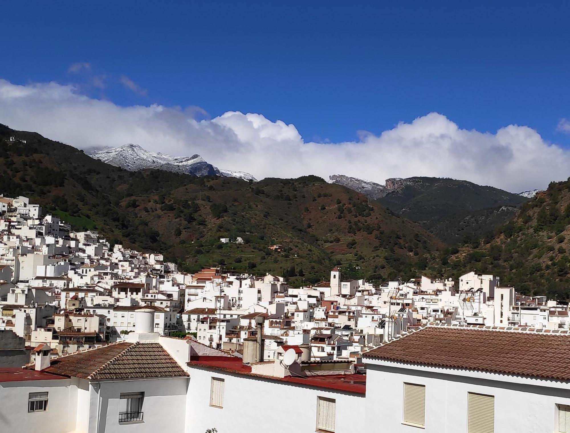 Apartamento El Almencino Tolox Buitenkant foto